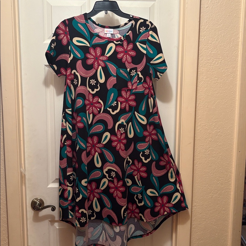 LuLaRoe Floral Dress - Black, Red, Green, Cream